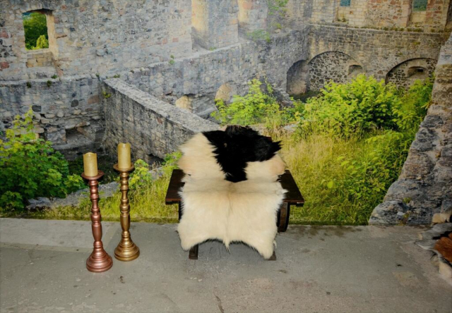 B-Ware: Edles Buren-Ziegenfell – Weißer Körper mit markantem Schwarzkopf